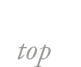 トップ